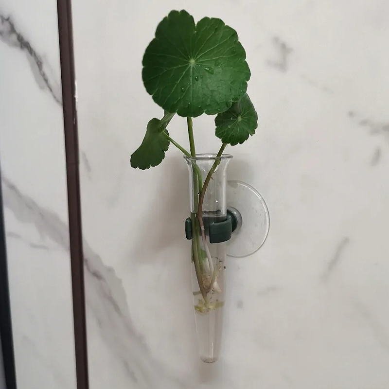 11cm Blumen-Wasserröhrchen Kun – Nutrition & Fitness Hub Bewertung und Preis