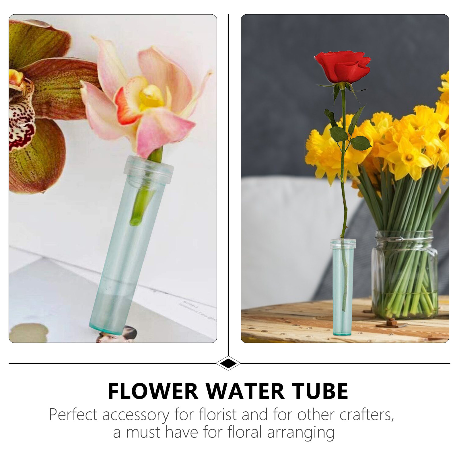 90 Stück Blumen-Nährstoffröhrc – Nutrition & Fitness Hub Bewertung und Preis