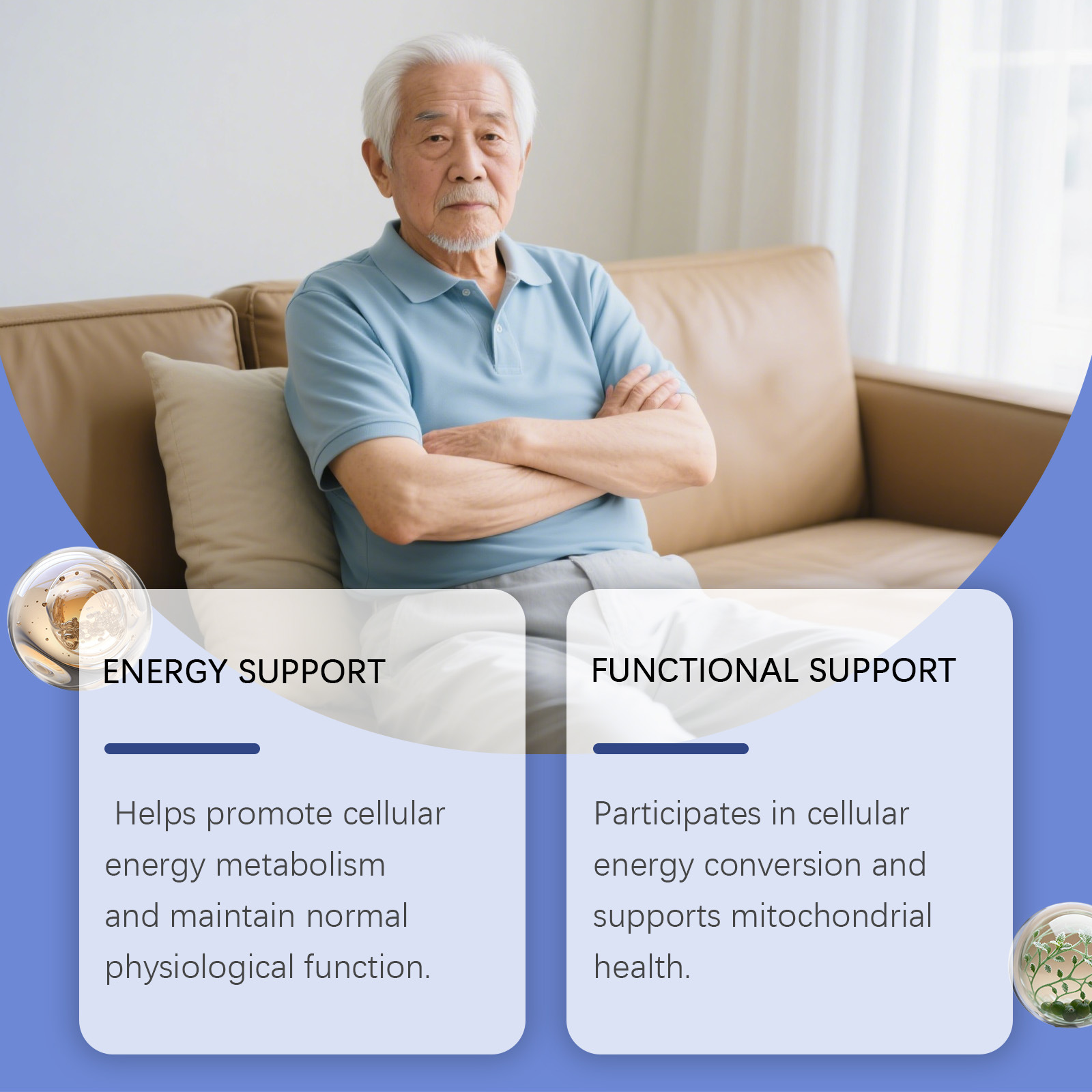 Vitalitätssteigernde Tropfen z – Nutrition Physical Fitness Bewertung und Preis