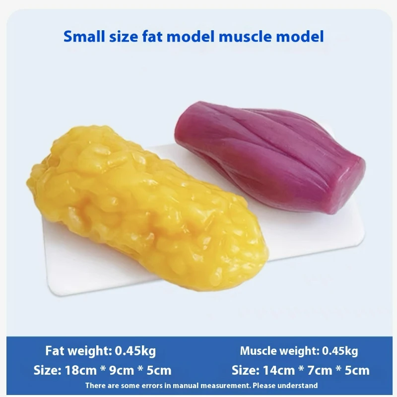 Menschliche Muskel- und Fettre – Nutrition Fitness Bewertung und Preis
